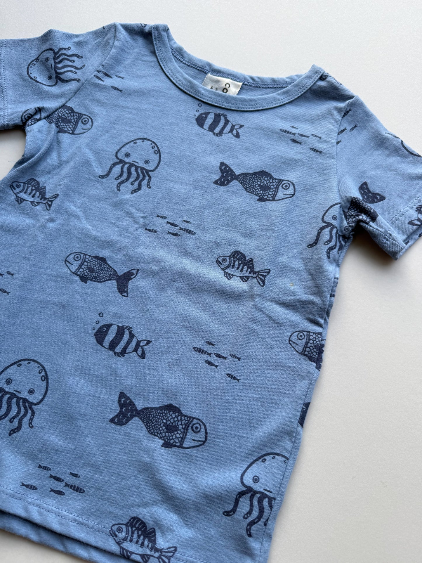 CLASSIC TEE - FISH + JELLY