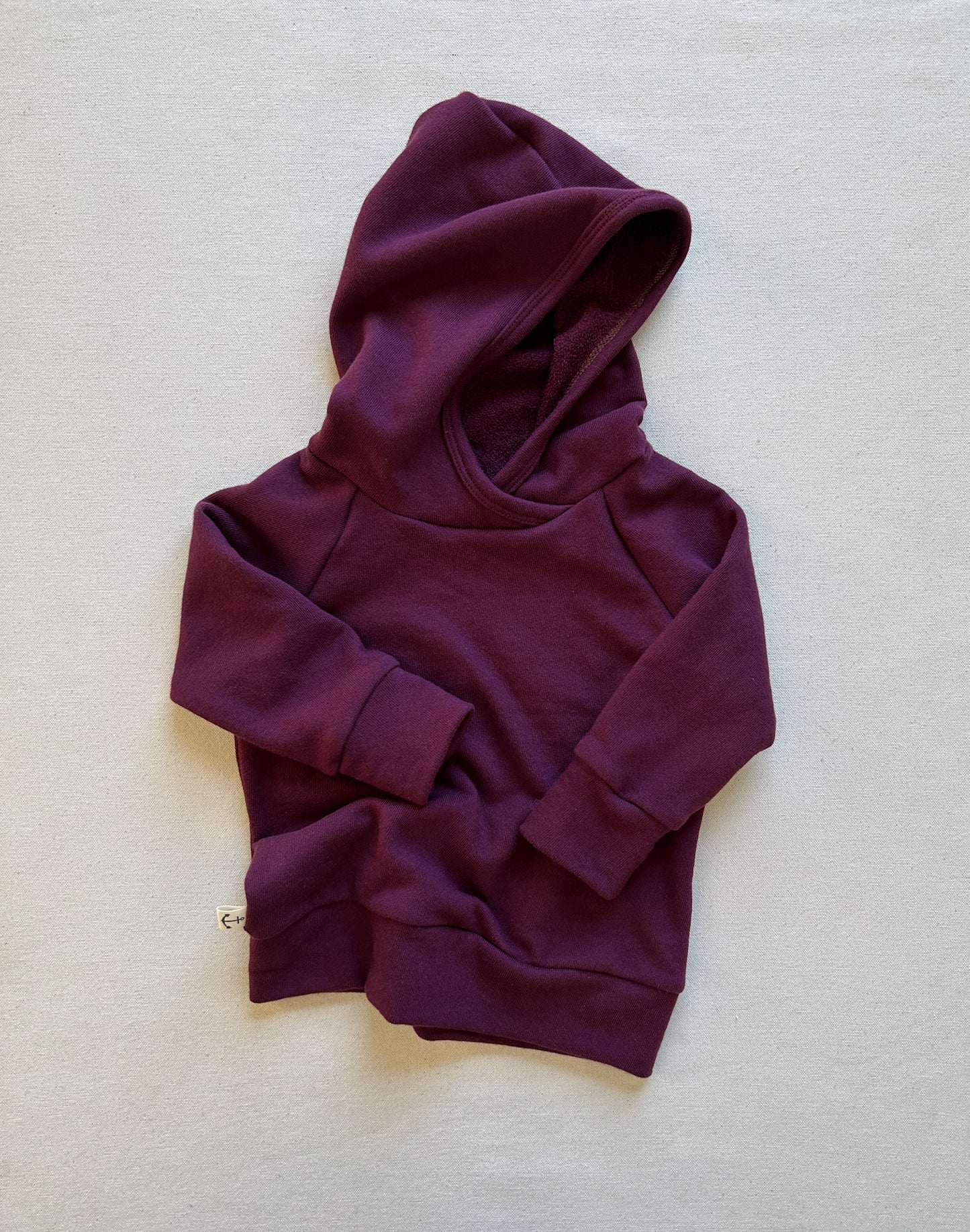 Classic Hoodie | AÇAÍ