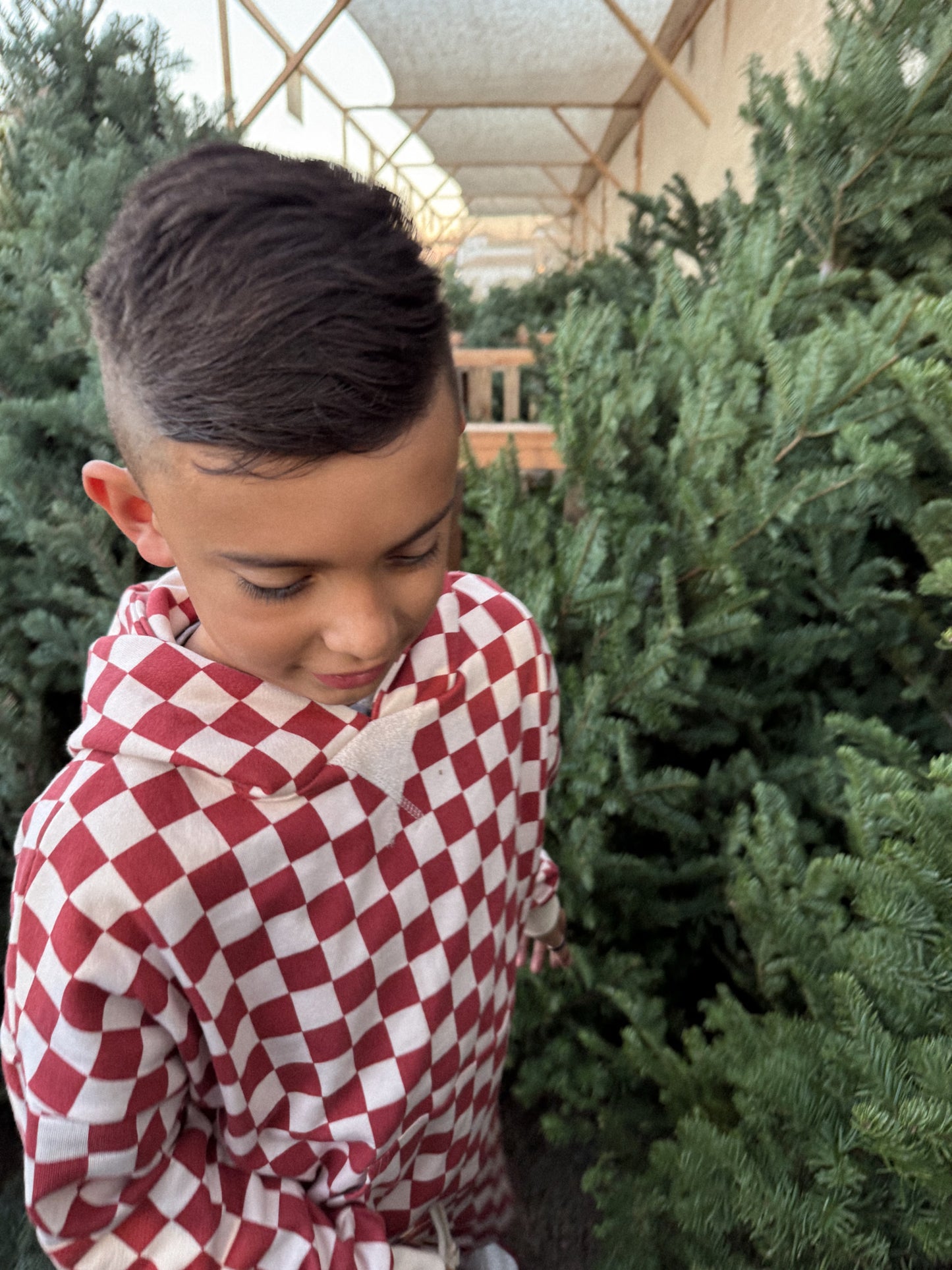 Retro Hoodie | FADED CURRANT CHECK