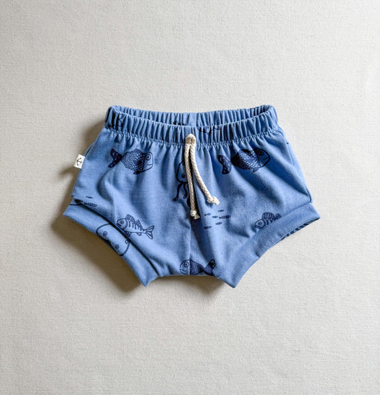 SHORTIES | FISH + JELLY
