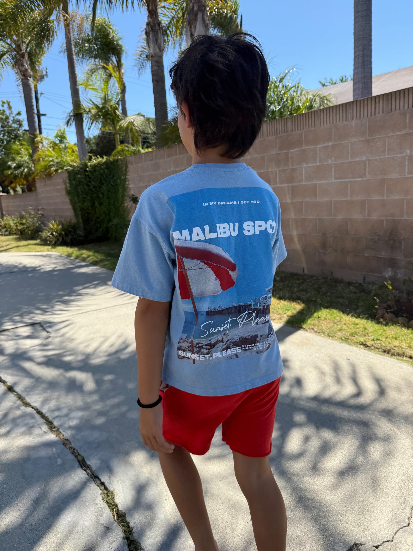 BOY SHORTS | CHERRY BOMB