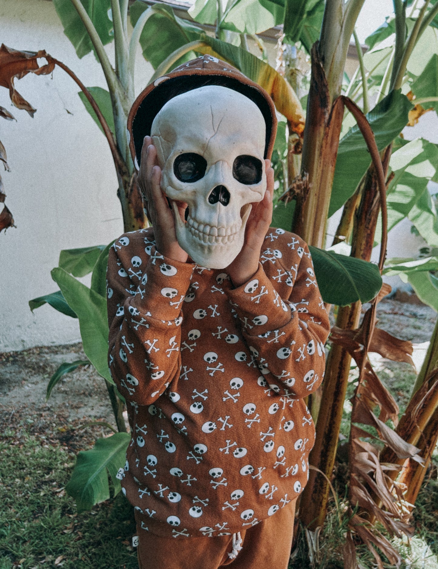 CLASSIC HOODIE | CARAMEL SKULLS ☠️