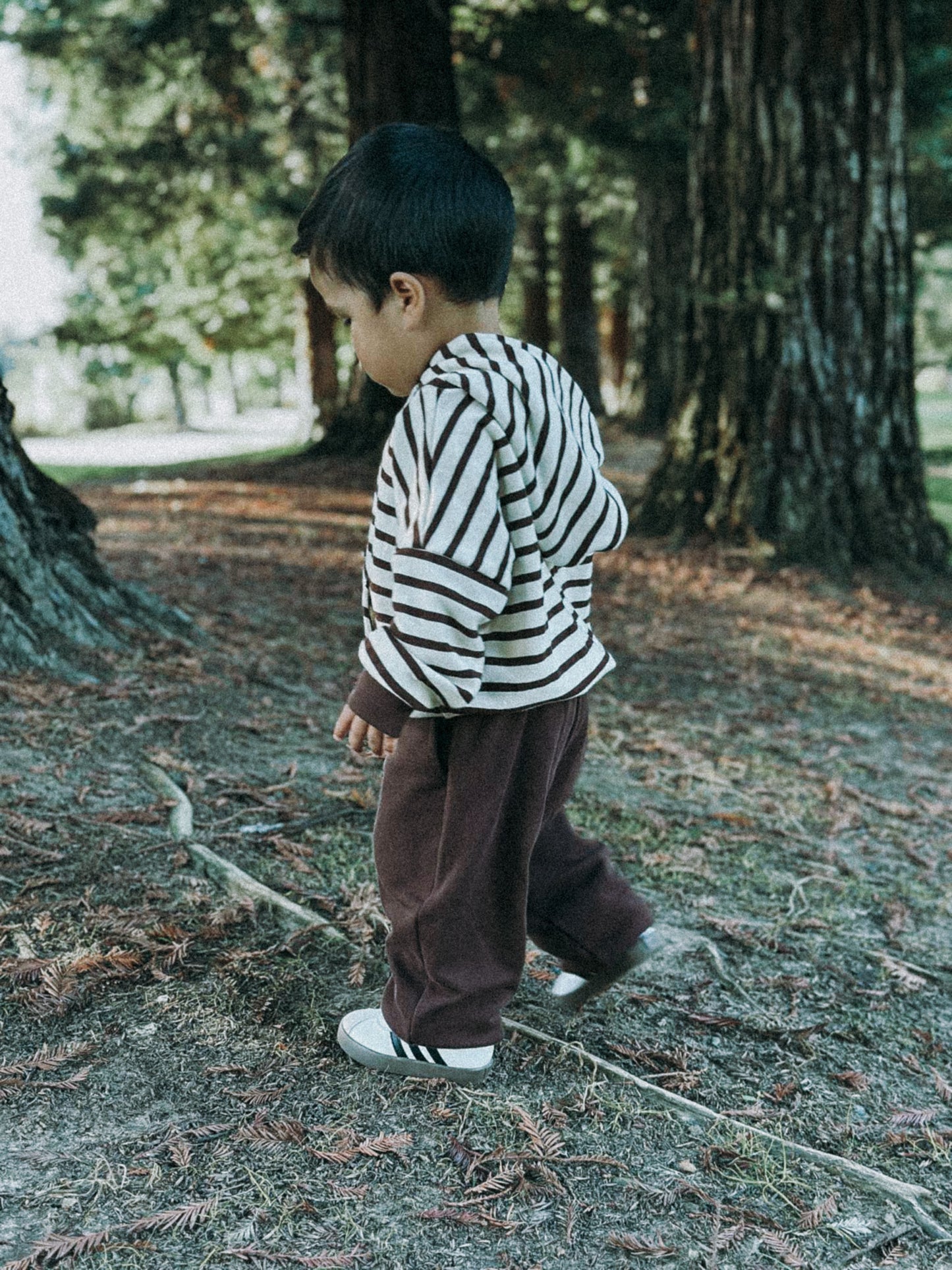 Retro Hoodie | COCONUT STRIPE
