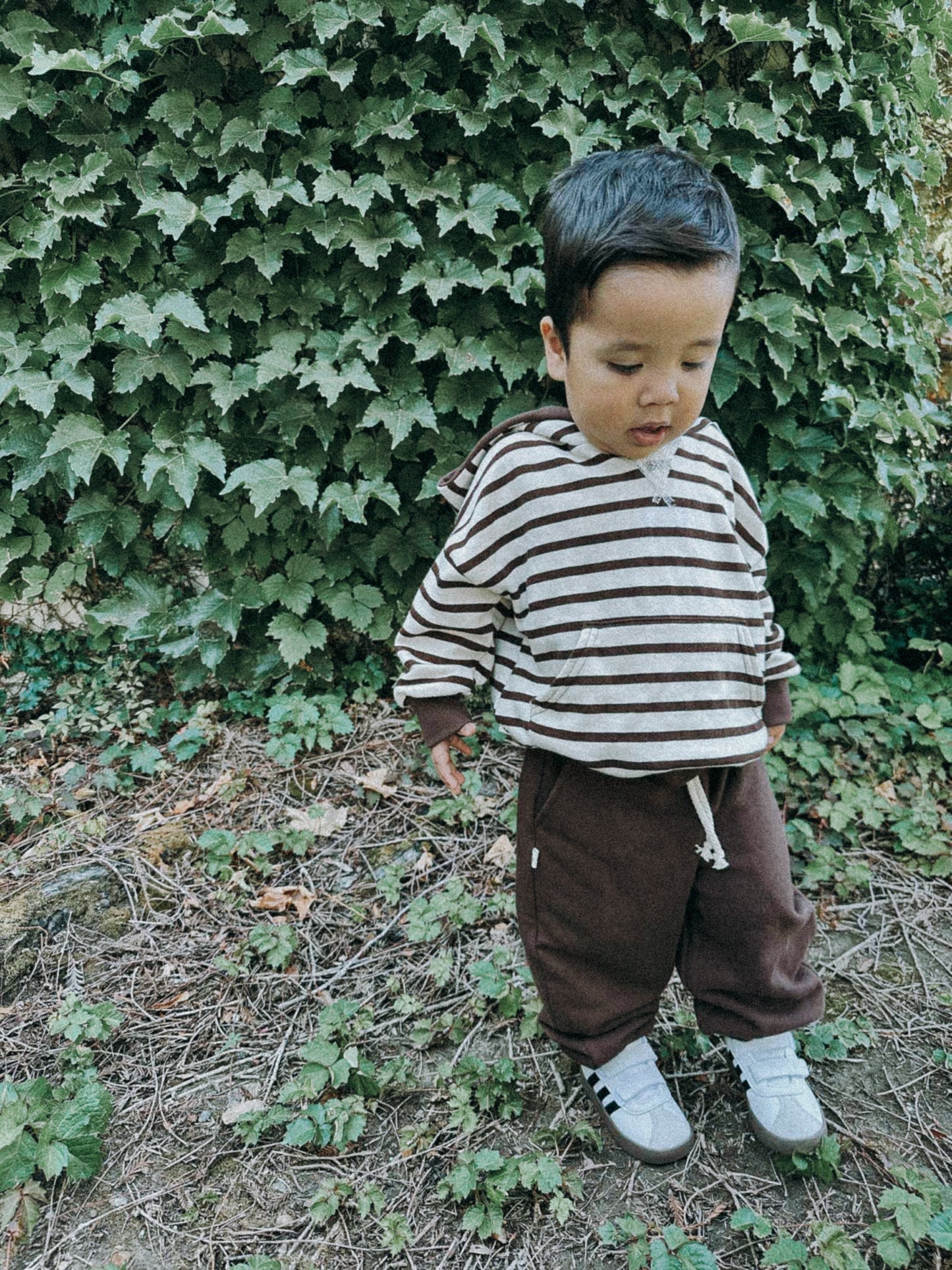 Retro Hoodie | COCONUT STRIPE