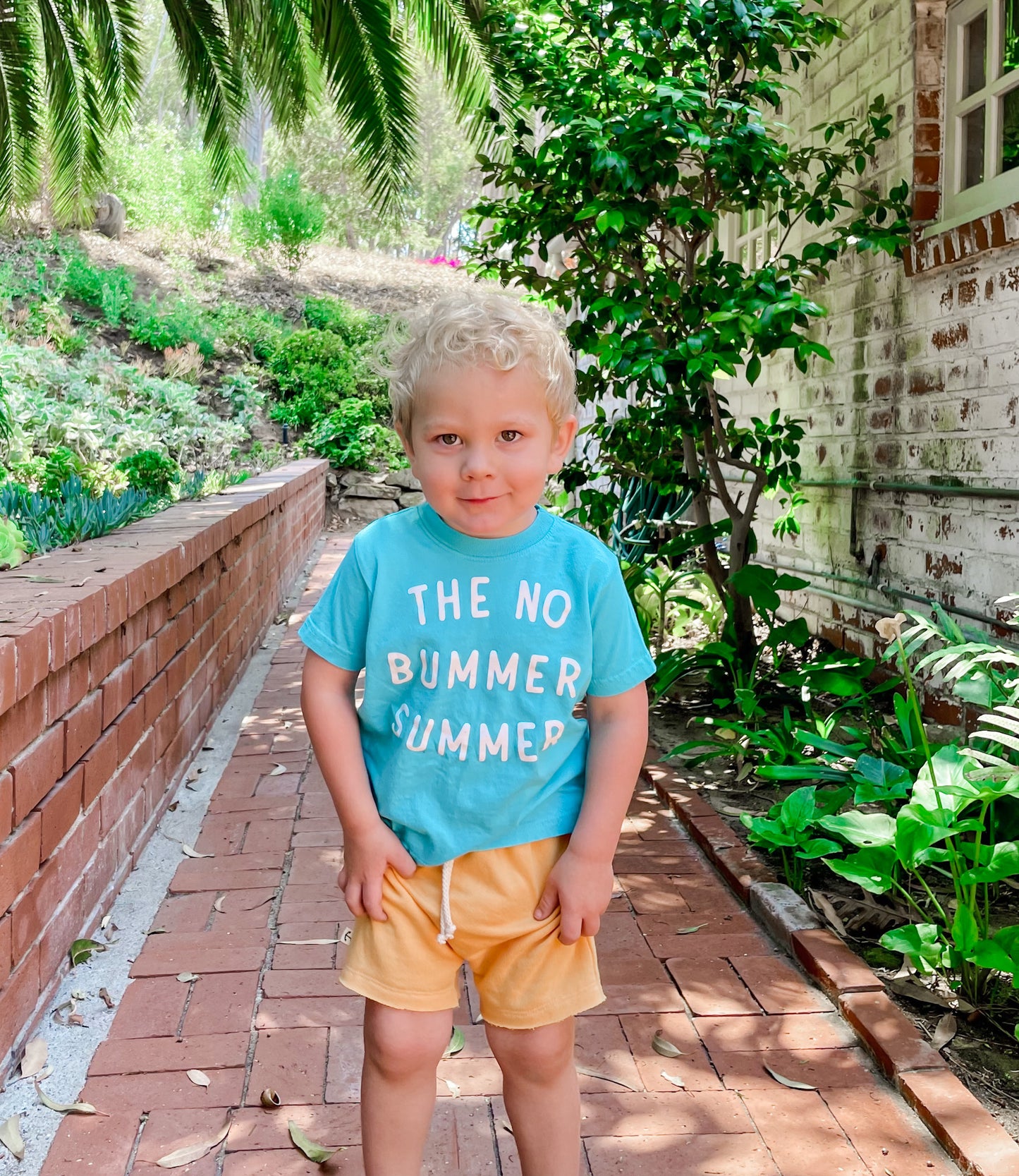 BOY SHORTS | SARDINES